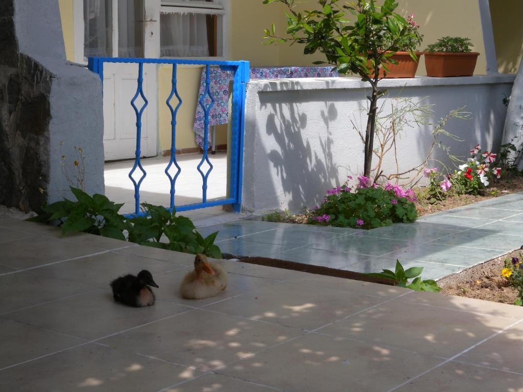 Eysan Pansiyon Akçay Exterior foto